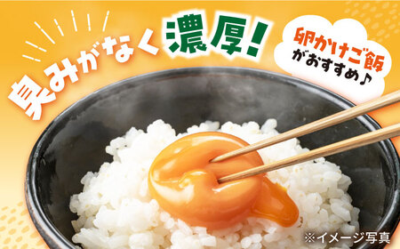 【計480個！月1回40個×12回定期便】家族のために選びたい「まつもとたまご」＜松本養鶏場＞[CCD004]