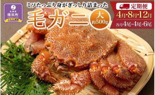 〈定期便4・8・12月〉【ミソたっぷり身がぎっしり詰まった】＜毛ガニ(大)＞約500g×１４尾【2024年4月～順次発送】