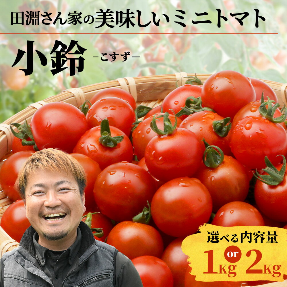 【ふるさと納税】田淵さんちの美味しい ミニトマト 小鈴（約1kg|約2kg）｜野菜 トマト ミニトマト 産地直送 ミニトマト 新鮮 トマト 南大隅町産 ミニトマト おいしい ミニトマト