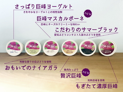 林ファームのぶどうジェラート6種セット (6個入り)｜ブドウ アイス ジェラート ソルベ 果物 スイーツ プレゼント ギフト セット 巨峰 サマーブラック ヨーグルト 白ぶどう マスカルポーネチーズ 