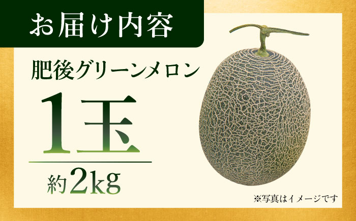 【先行予約】【数量限定】肥後グリーンメロン　約2kg(1玉入)【日本フルーツ株式会社】 [ZFJ005]