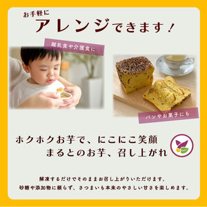 【国産】冷凍 さつまいもペースト 1.2kg 静岡県 牧之原市 まるととづか