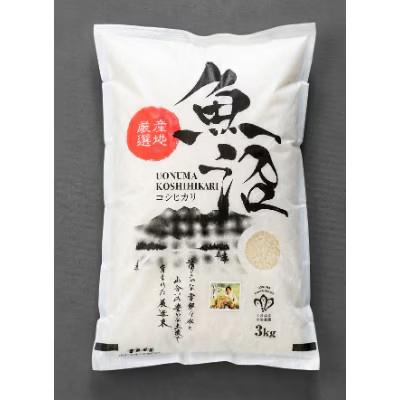 ふるさと納税 魚沼市 【毎月定期便】【無洗米】「米食味鑑定士　厳選」魚沼産コシヒカリ　3kg全6回