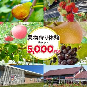 旬の果物摘み取り体験チケット　1回5,000円分　【チケット 券 】