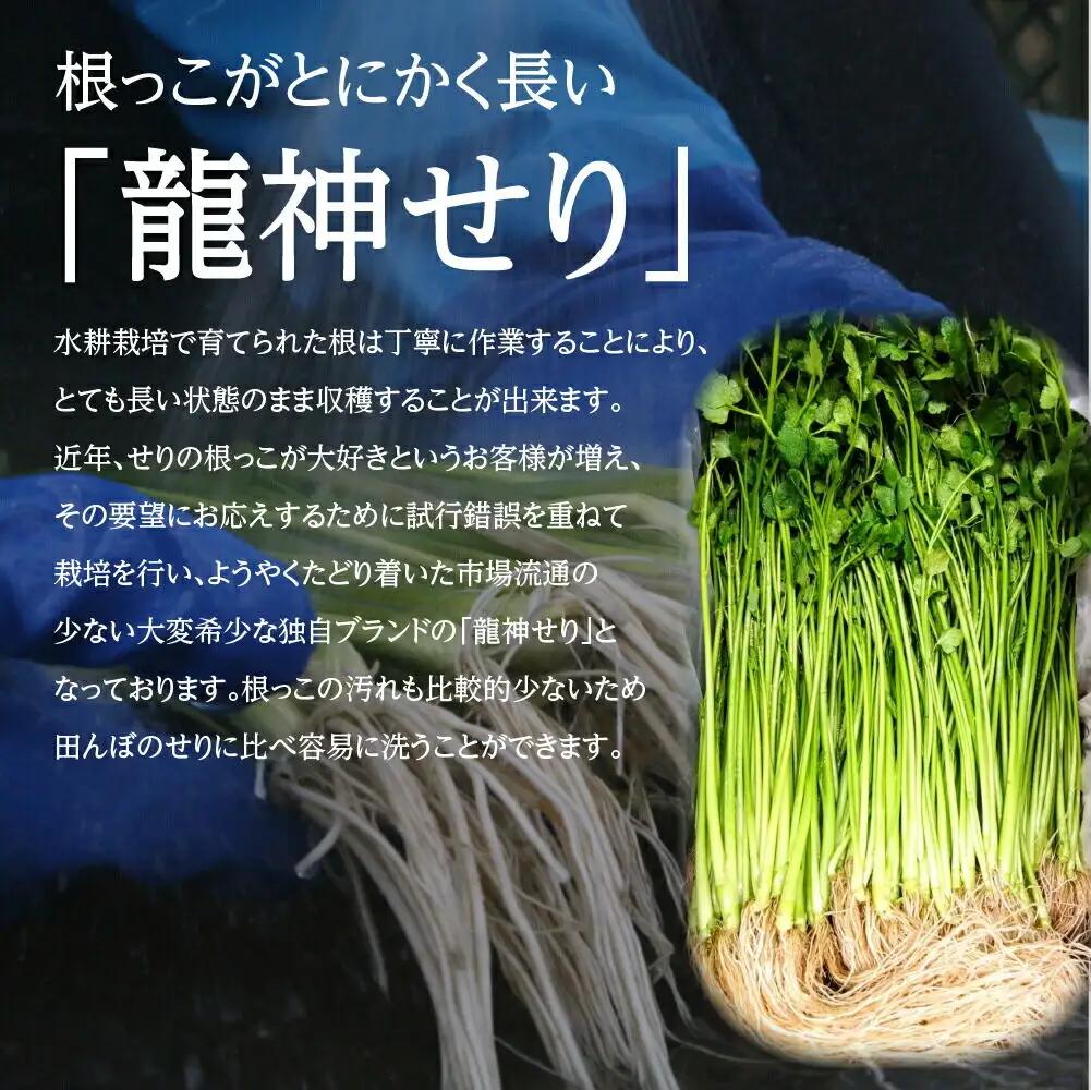 【期間限定】根が魅力の仙台龍神せり鍋出汁セット（セリ鍋用出汁・スープ付）(300ｇ)2～3人前