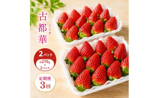 
                  先行予約 【3回定期】いちご 古都華 約270g ×2パック フルーツ 果物 旬 産地直送 旬のフルーツ 旬の果物 お取り寄せ おやつ デザート 希少 ことか 苺 冷蔵 冷蔵配送 奈良 奈良県 BN001[№5990-0943]
                