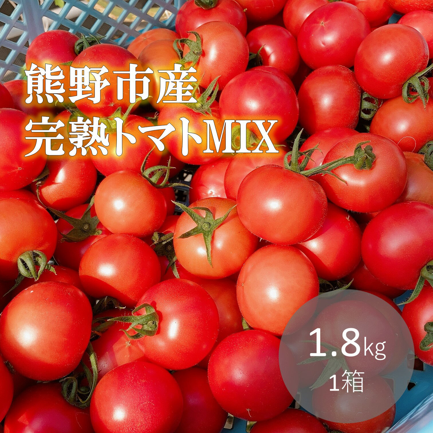 【ふるさと納税】【2025年12月以降配送】熊野薬草園の トマト MIX（1.8kg） 冬限定 予約 トマト ミニトマト 完熟トマト おすすめとまと 野菜 甘い お楽しみ 熊野市
