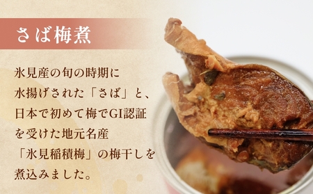 訳あり 缶詰 さば梅煮 40缶 ＜ラベルレス＞  越田商店 富山県 氷見市 缶詰 サバ 梅 非常食 防災 ストック