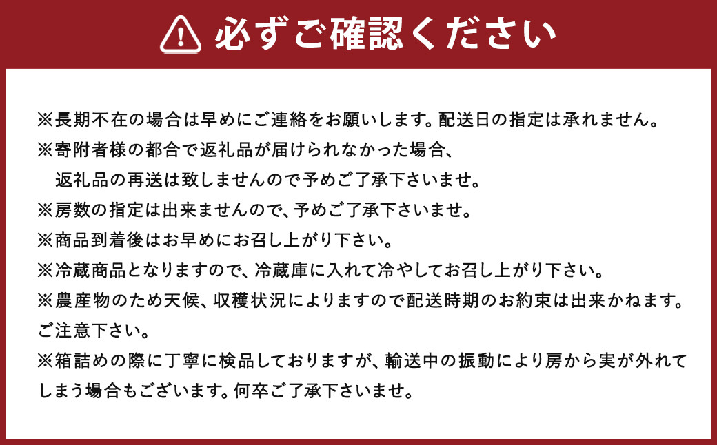【8月上旬頃～9月末までに順次発送予定】数量限定 巨峰 約1.8kg～2kg
