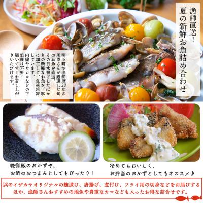 ふるさと納税 西予市 漁師直送　夏の新鮮お魚詰め合わせ(愛媛県西予市明浜産) |  | 01