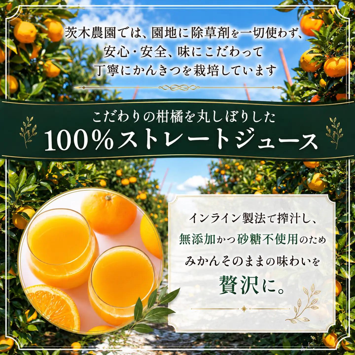 茨木農園のみかんジュース（720ml×2本）みかんジュース ストレート