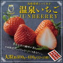 【ふるさと納税】 1610 鳥取県産とっておき「温泉いちごJUNBERRY」　送料無料　苺 期間限定