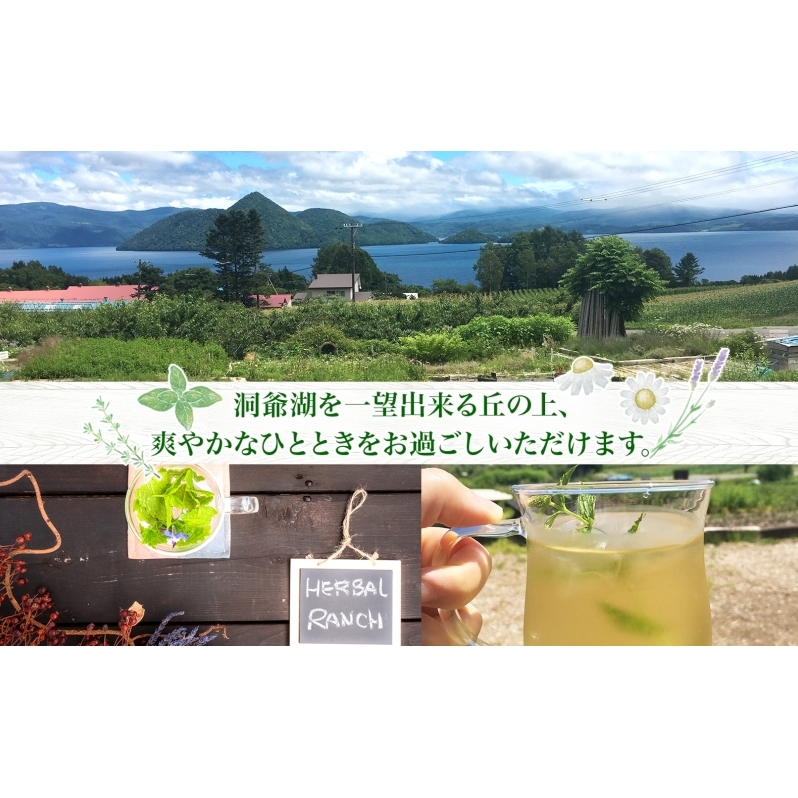 北海道 モヒート ソーダ 作り 体験 ハーブ ミント サイダー ノンアルコール ノンアル オリジナル  天然  リラックス 癒し リラクゼーション 健康 ハーバルランチ 送料無料 洞爺湖_イメージ3