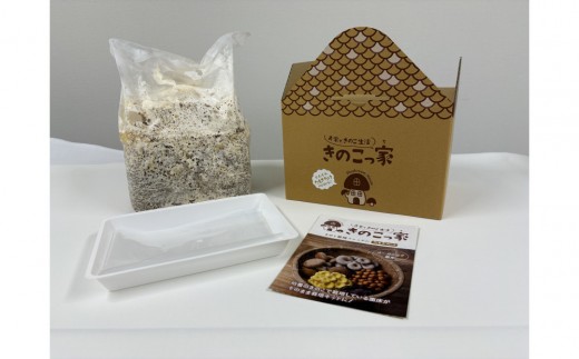 おうちで楽しむ栽培キット「きのこっ家」2個セット　たもぎたけ×たもぎたけ　