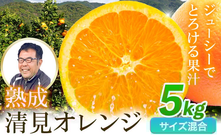 
                  【先行予約】熟成清見オレンジ 5kg どの坂果樹園《3月上旬-5月中旬頃出荷》 和歌山県 日高川町 清見オレンジ 旬 柑橘 フルーツ 果物 オレンジ 熟成
                