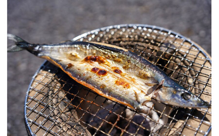 干物 8枚 海便りセット 詰め合わせ 干物