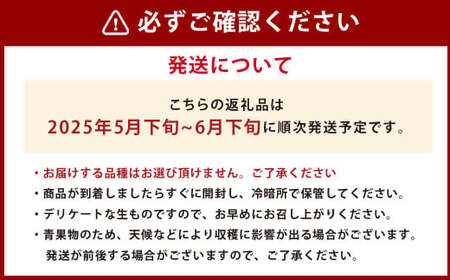 熊本県産 小玉すいか ＆ 肥後グリーンメロン 各1玉 果物 フルーツ セット ギフト 贈答品 贈り物 【2025年5月下旬～6月上旬発送予定】