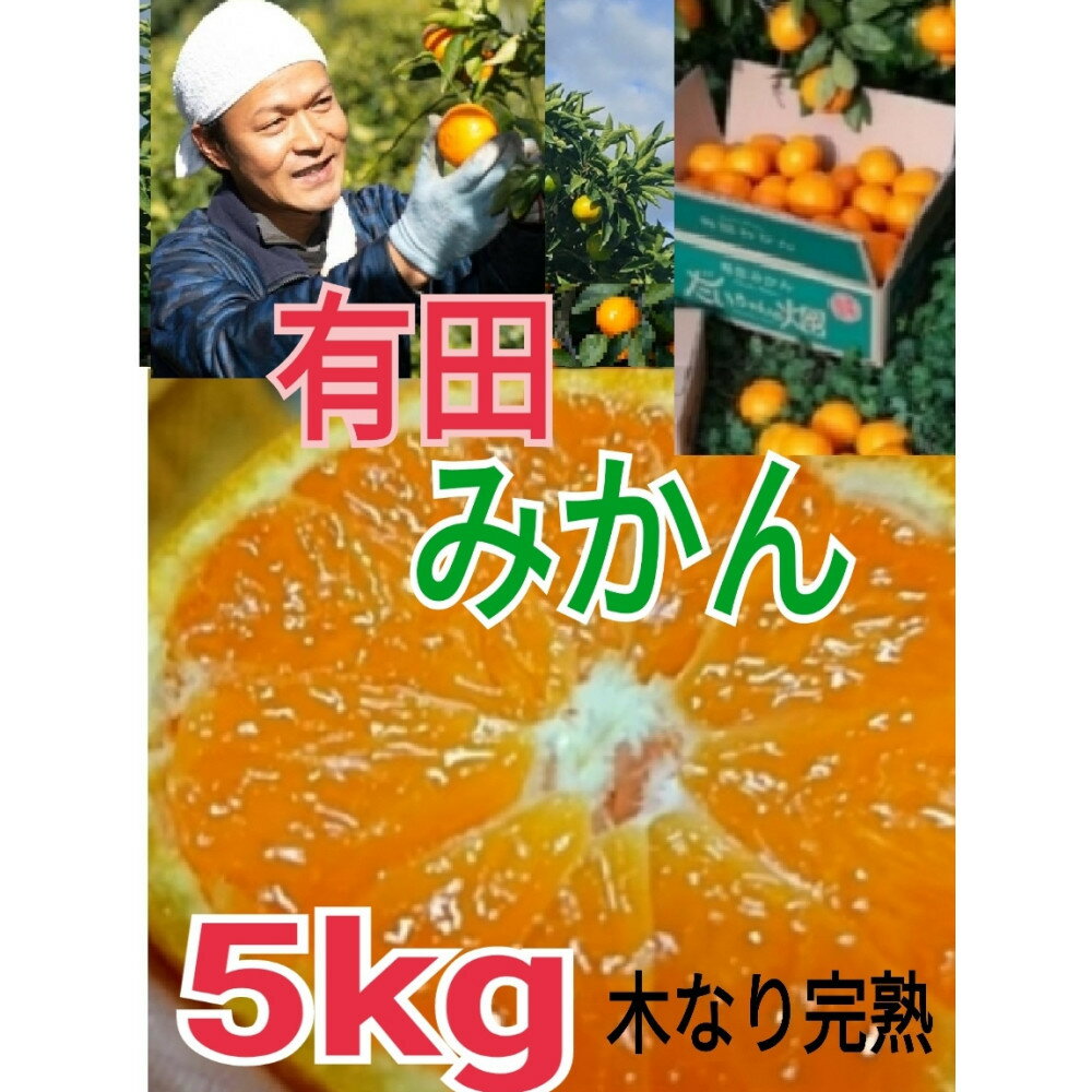 【ふるさと納税】有田みかん 秀品 5kg　木成り完熟【贈答用】大ちゃんの畑農園 | フルーツ 果物 くだもの 食品 人気 おすすめ 送料無料