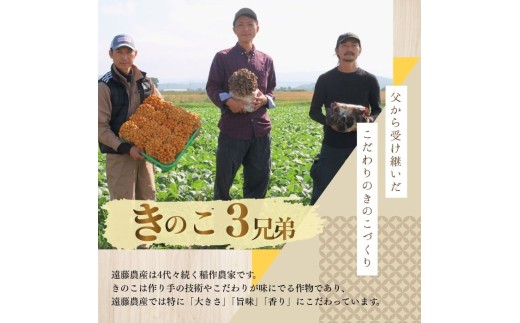 きのこ3種セット 計960g ジャンボまいたけ 500g なめこ 180g×2 きくらげ 100g【北海道きのこ品評会 最優秀賞受賞】【遠藤農産】きのこ キノコ セット 詰め合わせ 舞茸 滑子 木耳 国産 北海道産 北海道 比布町 ぴっぷ 1002-002