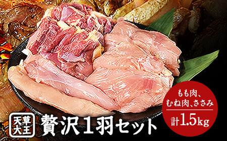 【幻の地鶏】くまもと 天草大王 贅沢1羽セット 約1.5kg