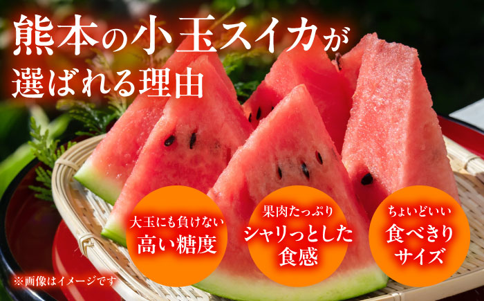 【数量限定】【先行予約】肥後グリーン メロン 1玉＆小玉 すいか 1玉【合同会社 福福堂】 [ZCN004]