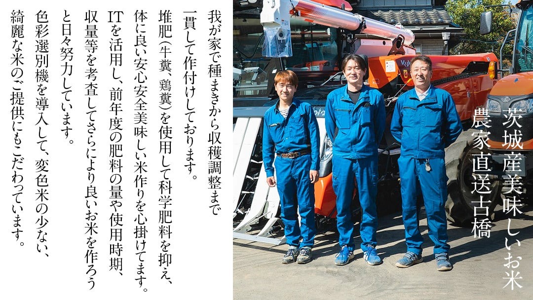 【選べる 玄米 精米】令和7年産 茨城県産 ミルキークイーン 10kg 米 こめ コメ 農家 直送 こだわり お米 おこめ 茨城 [BG015ya] [BG016ya]