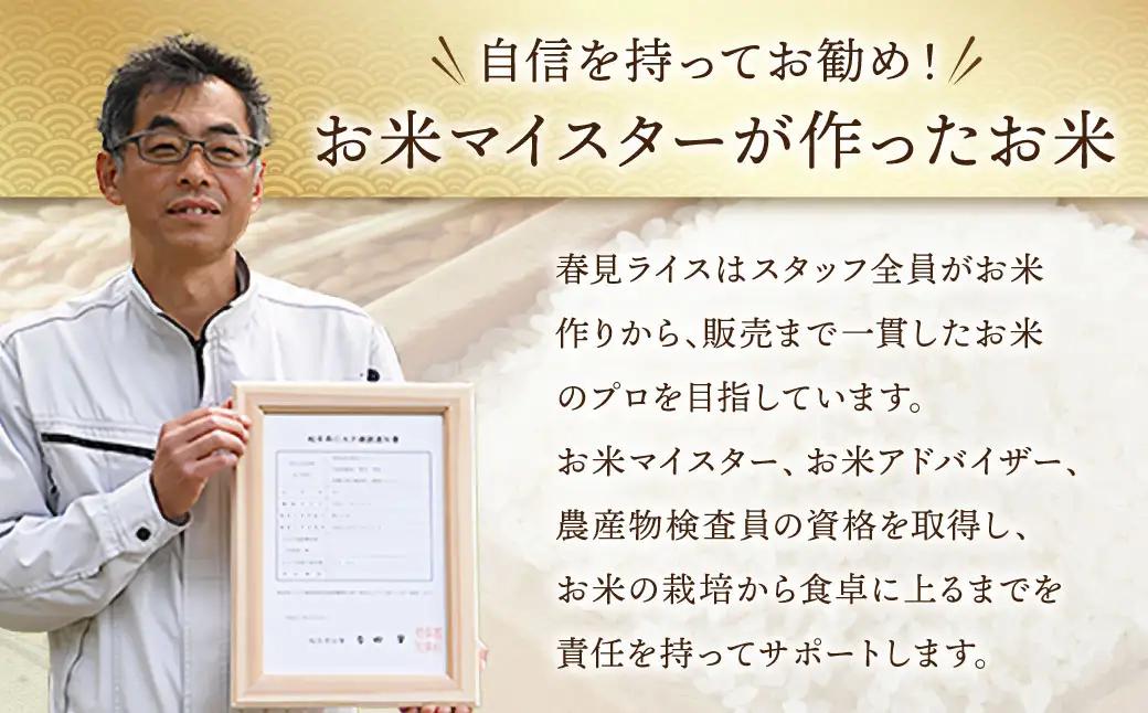 【先行予約】 令和8年産 お米マイスターが提供 冷めても美味しい 岐阜県美濃加茂産 ハツシモ （ 10kg ） 【 2026年11月下旬-2027年7月下旬まで発送予定 】 