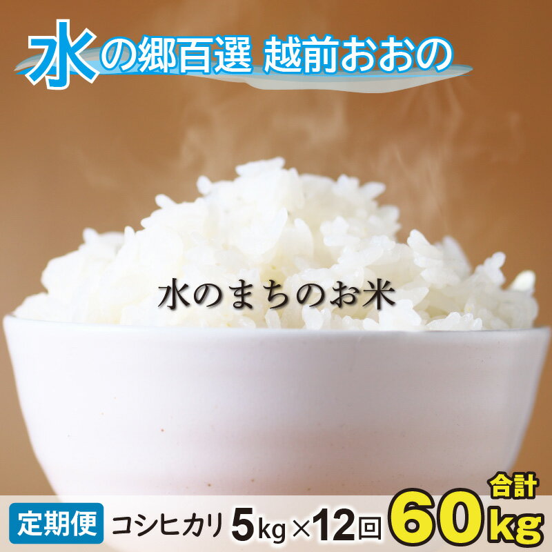【ふるさと納税】【令和7年産】【12ヶ月定期便】こしひかり 5kg×12回 計60kg【白米】「エコファーマー米」水のまちのお米 【定期便・お米・コシヒカリ・12ヶ月連続・米・12回・計60kg】5キロ 60キロ　頒布会 コシヒカリ 精米　米定期便　福井県 福井 大野市