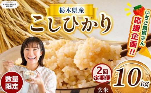 【栃木県共通返礼品】【先行予約】【定期2回】 数量限定 訳あり 定期便 令和8年度 栃木県産コシヒカリ 約 10kg | 数量限定 こしひかり  玄米 米 ごはん ご飯 米 kome okome コシヒカリ 栃木県産 訳あり 送料無料 ふるさと納税 那珂川町 栃木県