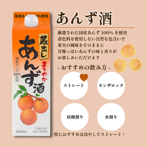 リキュール 4種 セット 梅 ゆず ブルーベリー あんず