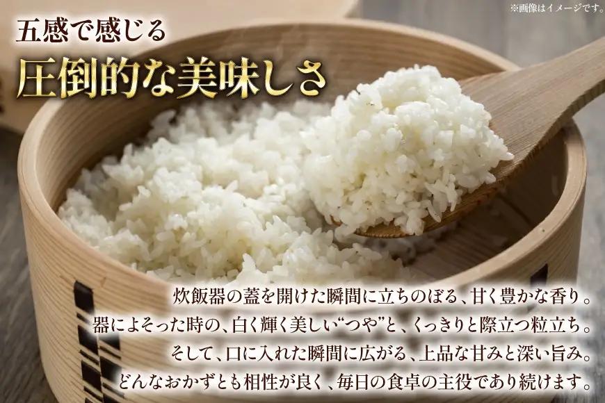 米 定期便 3回 令和8年産 特別栽培米 つや姫 5kg