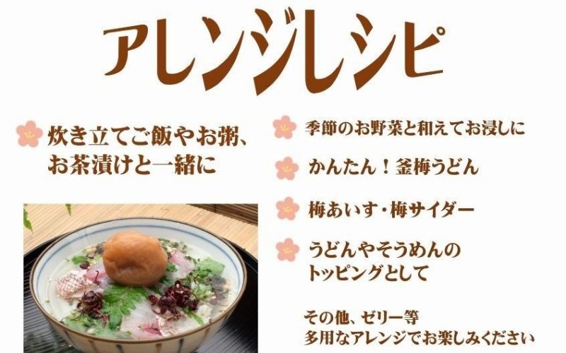 紀州南高梅 しそ 塩分約15％ 850g ［YM6m］ 【yamada003A】