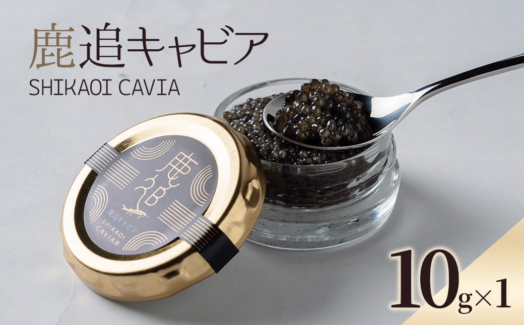 
            鹿追キャビア 10g×1 【 ふるさと納税 人気 おすすめ ランキング キャビア 国産 魚介 魚卵 珍味 加工品 冷凍 高級 贅沢 グルメ ギフト 贈答 おつまみ 北海道 鹿追町 送料無料 】 SKAF001
          