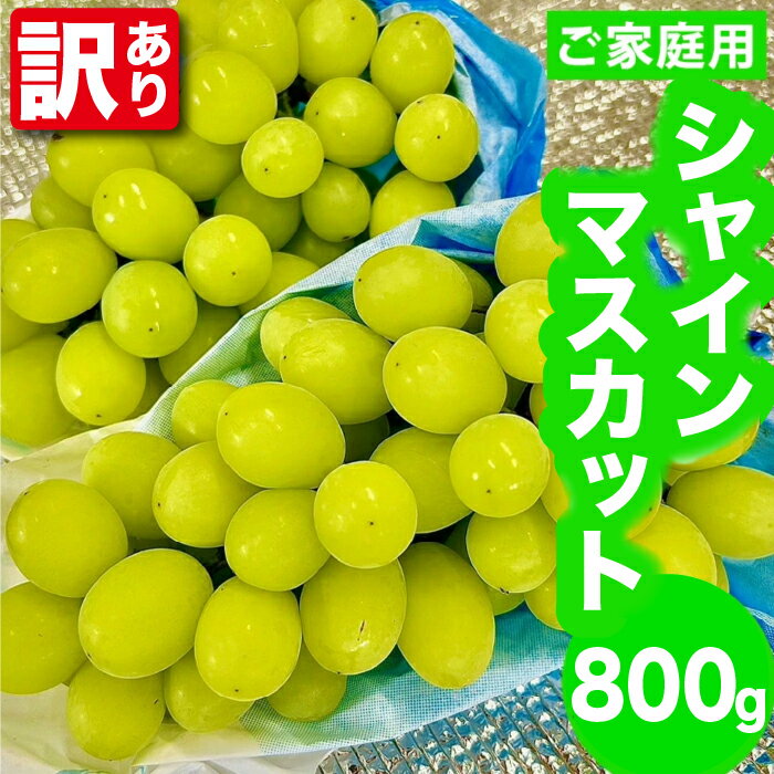 【ふるさと納税】【訳あり】〈松尾農園〉シャインマスカット約800g(家庭用) [M881-1] 果物 果汁 ぶどう 高級 福岡 フルーツ 甘い マスカット 福岡県 宮若市 送料無料