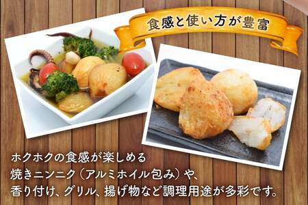 野菜 にんにく 玉ねぎ セット ジャンボにんにく 約1kg 新玉葱 約5kg 詰め合わせ 【期間限定発送】 [しげさん農園 長崎県 平戸市 hr42bgy420132]