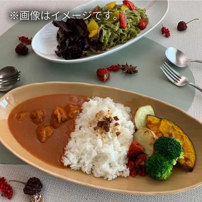 オーバルプレート-Classicalcolor- 2点 やきもの 食器NAZ103