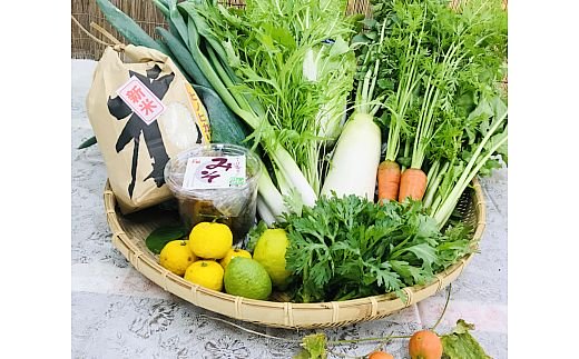 
                  手作りお味噌が香る！冬のみそ鍋セット ｜みそ鍋セット 冬限定 手作り味噌 鍋用 香芝市 [3249]
                