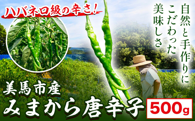 
            【 先行予約 】 ピリリと辛い！ みまから唐辛子 500g ＜ 数量限定 ＞ 有限会社美馬交流館《8月上旬‐9月上旬出荷》徳島県 美馬市 みまから 送料無料 st-p
          