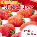 【ふるさと納税】 先行予約 贈答用 いちご やよいひめ かおりの 12～15個 化粧箱入 大粒 果物 フルーツ 苺 ストロベリー ケーキ アイス タルト ジュース ゼリー ジェラート シャーベット ジャム スムージー 洋菓子 和菓子 フルーツサンド お取り寄せ グルメ 送料無料