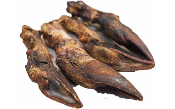 北海道産 エゾ鹿 鹿 シカ肉 鹿肉 ドライ ジャーキー ペットフード あしょろ