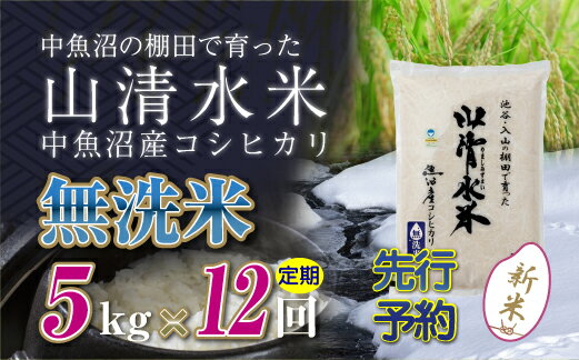 【ふるさと納税】【先行新米予約】【定期便／全12回】無洗米5kg　新潟県魚沼産コシヒカリ「山清水米」十日町市 米　お届け：寄附入金確認後、10月上旬から順次発送します。
