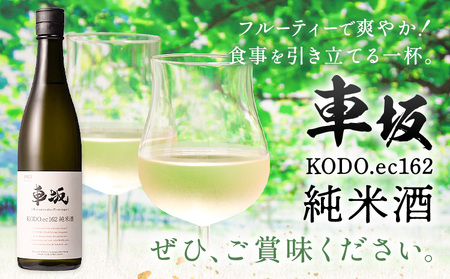 酒 車坂 KODO.ec162 純米酒 1.8L 酒のねごろっく《2025年6月上旬-2026年4月末頃に出荷予定(土日祝除く)》和歌山県 岩出市 お酒 さけ アルコール フルーティー 日本酒 お取り