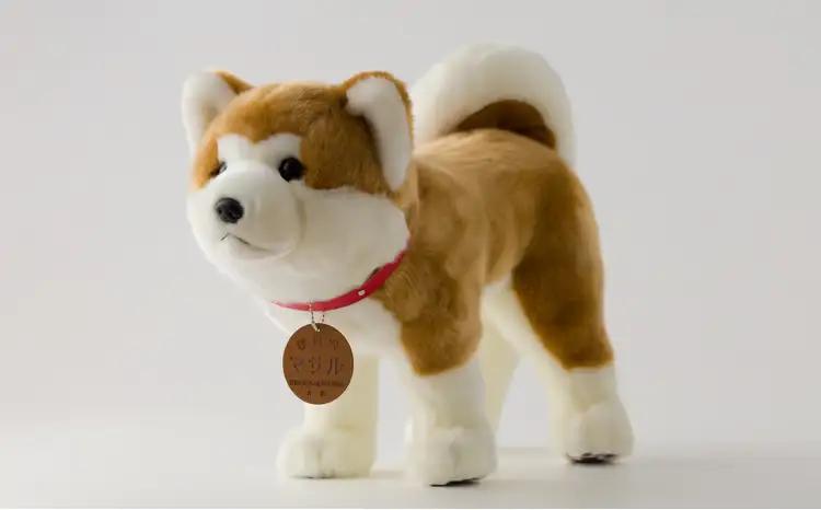 65P7303 秋田犬マサルぬいぐるみ　立ちＭサイズ【秋田犬保存会】