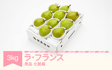 【先行予約】ラ・フランス 化粧箱 3kg 令和7年産 2025年産 山形県産  ラフランス  果物 ns-laxxx3
