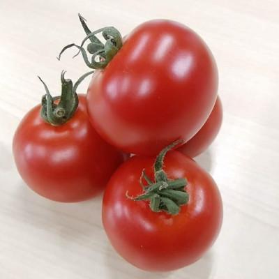 ふるさと納税 南アルプス市 フルーツトマトで作った飲む酢・「太陽のめぐみde酢」　料理にも使える、おいしい酢の飲料3本セット |  | 02