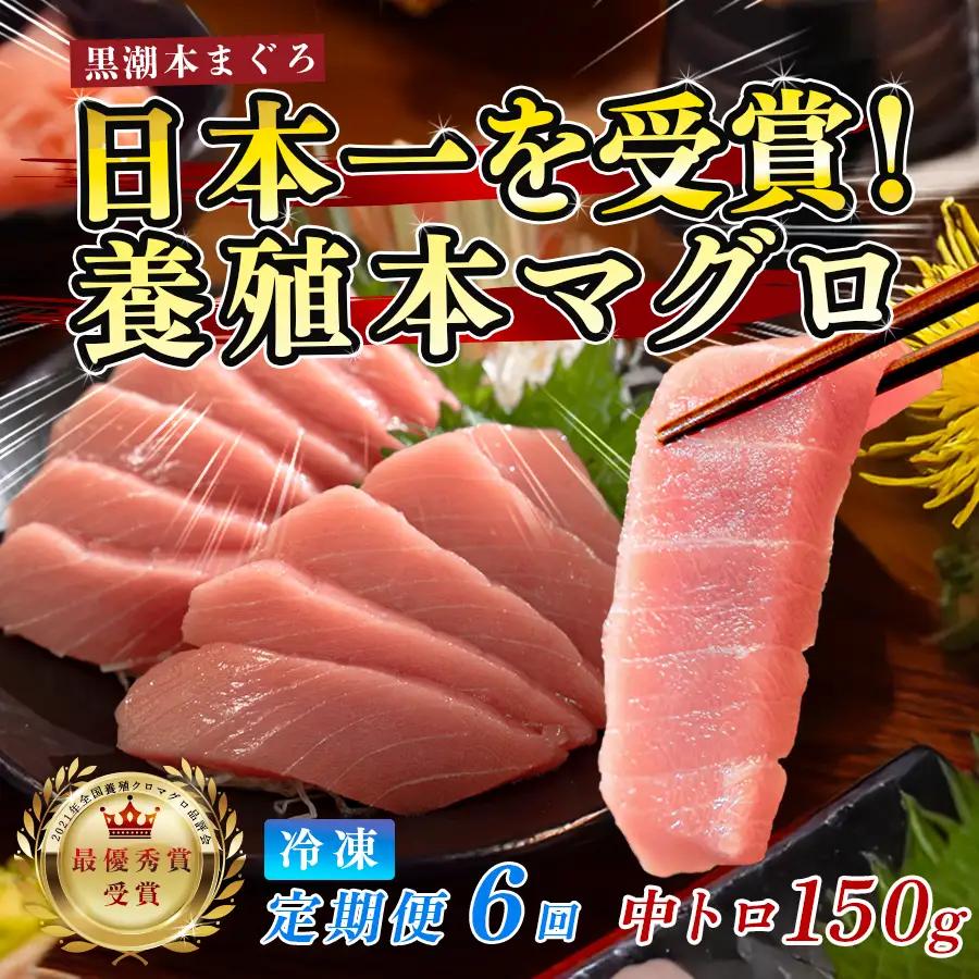 まぐろ マグロ 本鮪 黒潮本まぐろ 中トロ 定期便 6回 150g × 6回 刺身 冷凍 産地直送