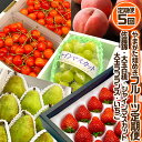 【ふるさと納税】【定期便5回】やまがた 煌めきフルーツ定期便(佐藤錦・大玉白桃・シャインマスカット・大玉ラ・フランス・いちご) 【令和7年産先行予約】FU23-845 くだもの 果物 フルーツ 山形 山形県 山形市 2025年産