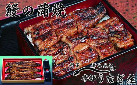 老舗「本部うなぎ屋」鰻の蒲焼3尾 国産うなぎ<4.6-1>