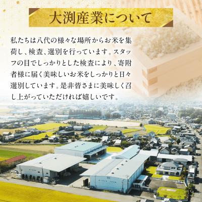 ふるさと納税 八代市 《令和7年産》 ヒノヒカリ 5kg×2袋 合計10kg  熊本県 八代市産_274-6647 |  | 03