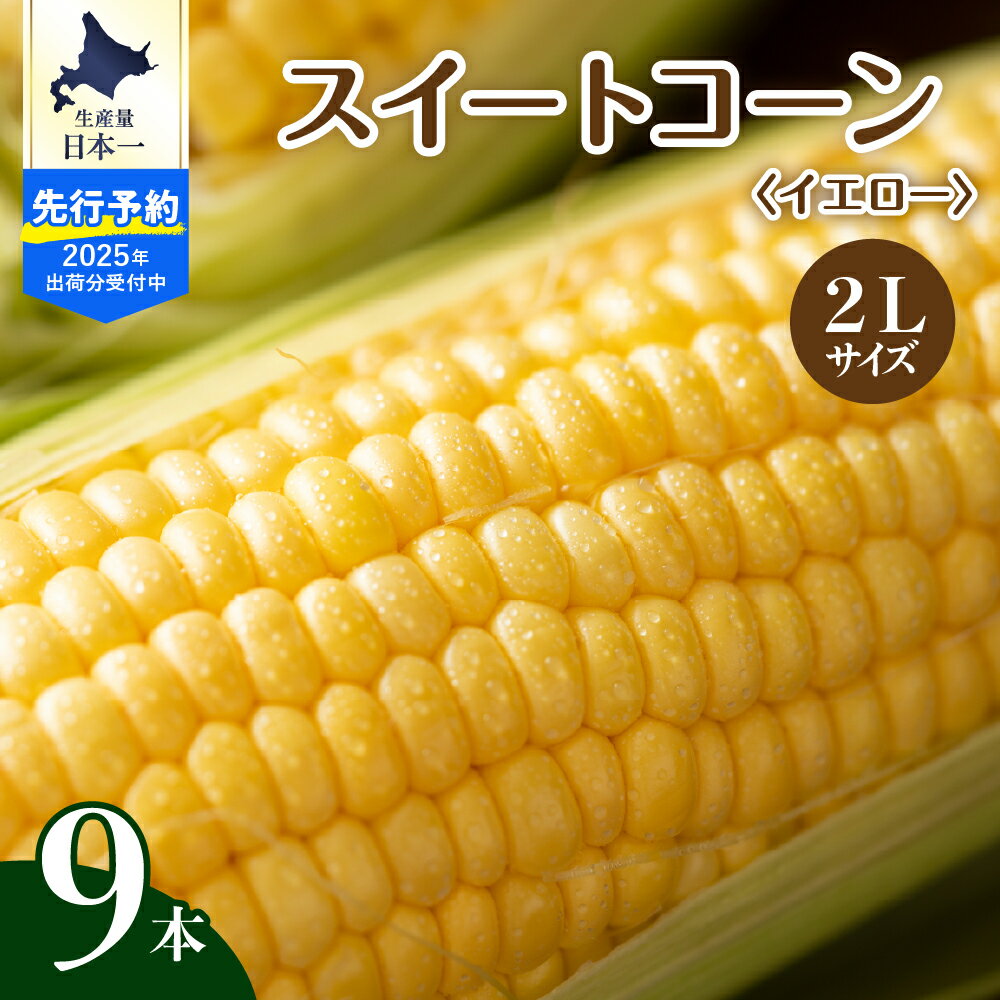 【ふるさと納税】【2025年産 先行予約】 北海道産 令和6年 とうもろこし スイートコーン イエロー種 2L サイズ 9本 人気 キャンプ飯 BBQ アウトドア ソロキャン バーベキュー 焼肉 トウモロコシ とうきび コーン 甘い 野菜 北海道 十勝 芽室町 めむろ 数量限定